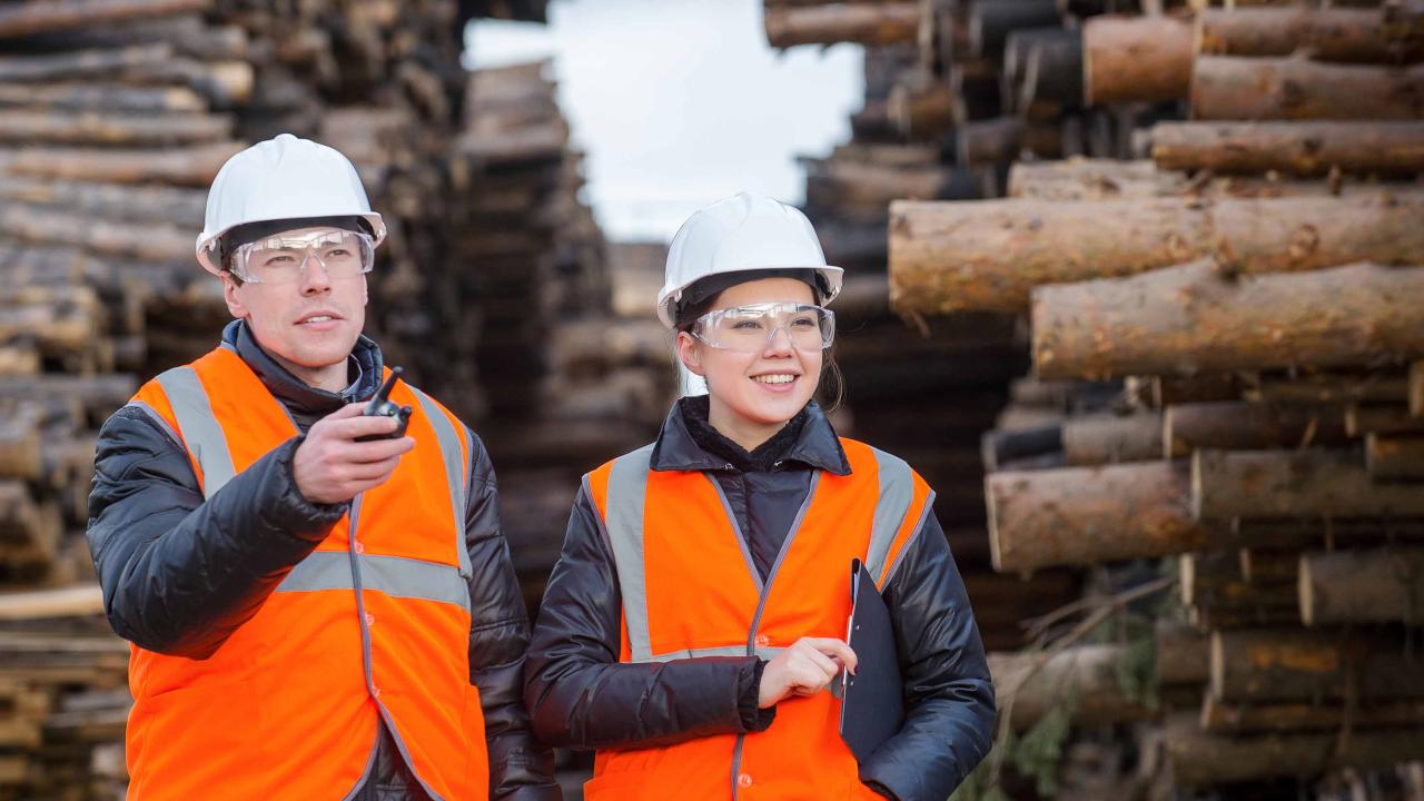 Forestry professionals