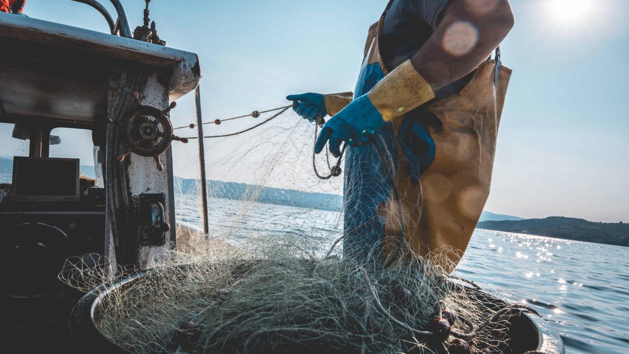 Fishing vessel deckhands