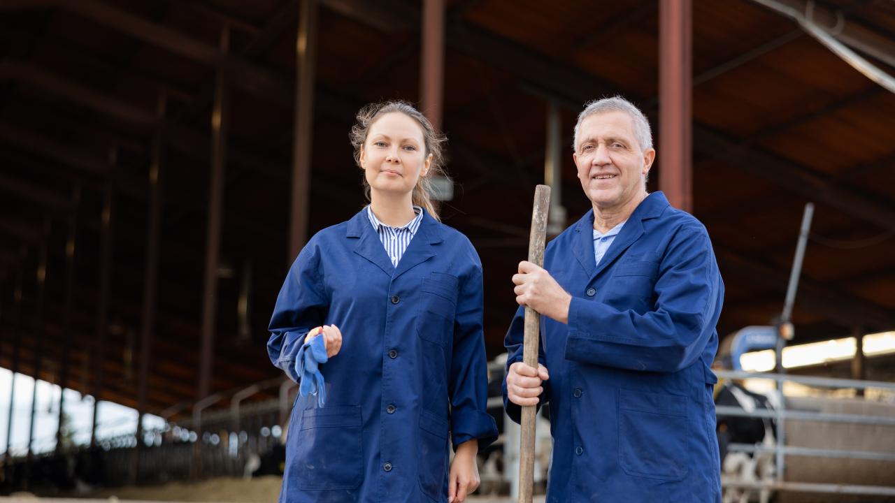 Livestock labourers