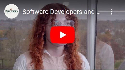 Software developers and programmers