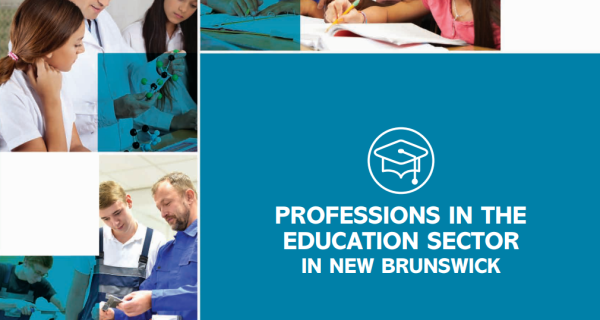 Professions in the Education Sector Brochure