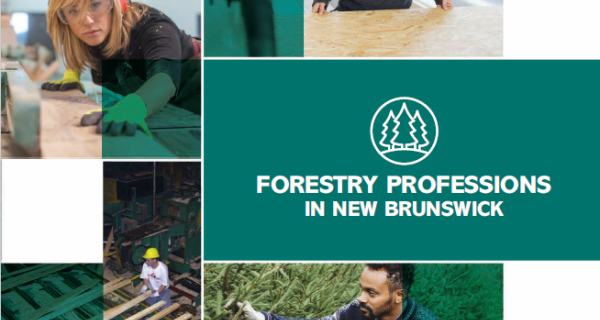 Careers in Forestry